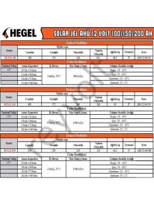 HEGEL 12V 100 Ah JEL AKÜ