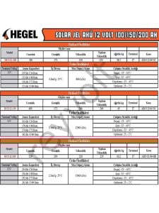 HEGEL 12V 200 Ah JEL AKÜ