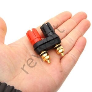 İkili Gold Born Klemens